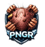 PNGR logo